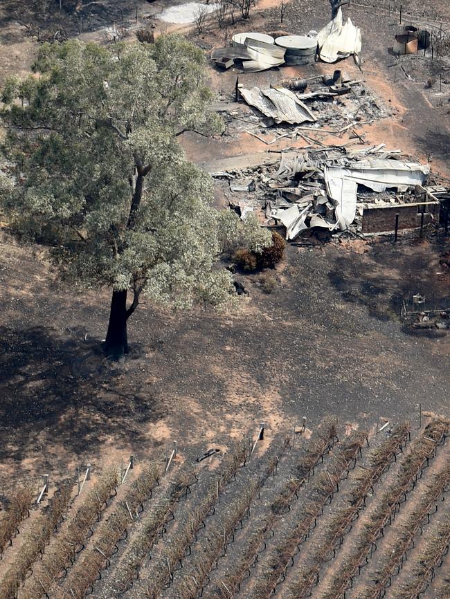 Vines and a property destroyed by fire near Lobethal, South Australia. Picture: Naomi Jellicoe