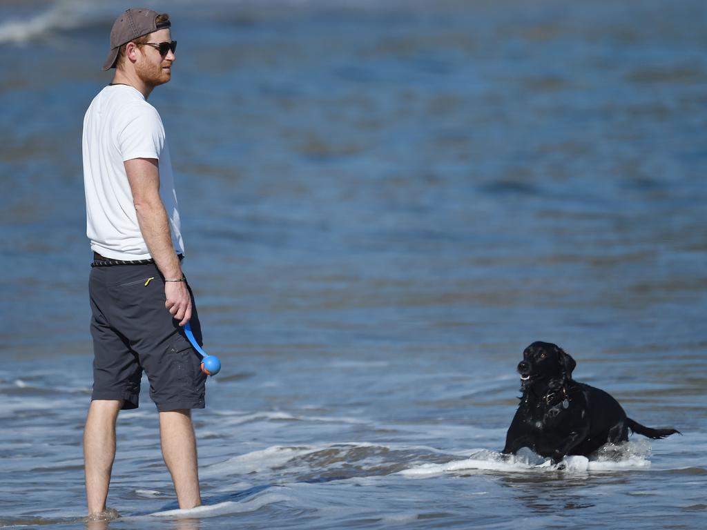 Prince Harry dressed casually in blue cargo shorts, a T-shirt, shades and back-to-front baseball cap. Picture: Mega Agency