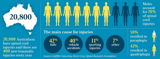 Spinal injury graphic for print