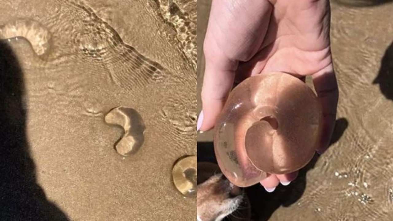 The woman took to social media to find answers after discovering the unfamiliar objects. Pictures: Facebook