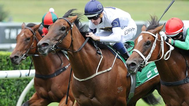 Randwick races