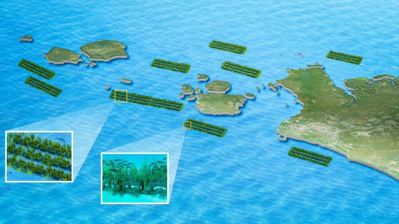 A rendered image released by HaejooX of its Cape and Torres Strait Artificial Reef Program. Picture: Supplied.