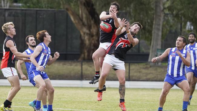 SFL: A pair of Frankston Dolphins spoil each other. Picture: Valeriu Campan