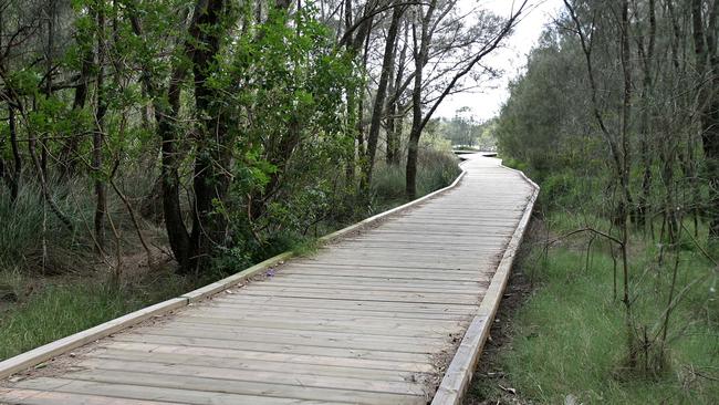 At the Beree Badalla wetland reserve at Palm Beach.