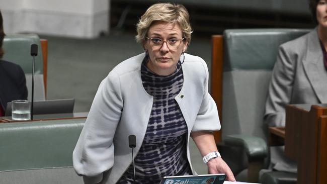 Zali Steggall is standing by her calling out Peter Dutton over Gaza visas. Picture: NewsWire / Martin Ollman