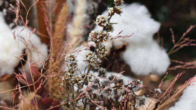 A close-up of the dried arrangements available at Blooming Bespoke. Picture: Rhylea Millar