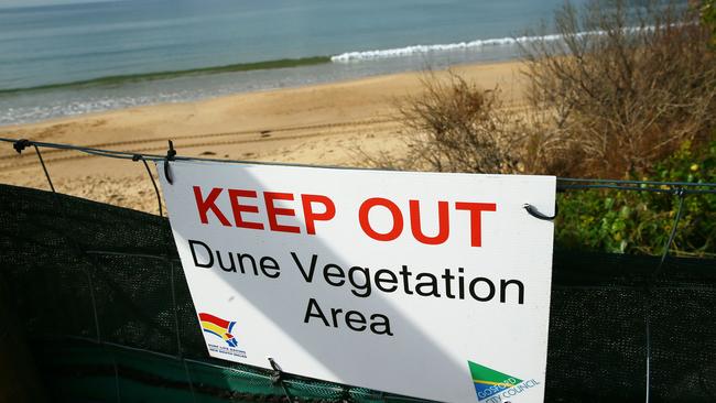 Erosion has made beach access difficult as council tries to rehabilitate dunes with vegetation. (AAP Image/Sue Graham)