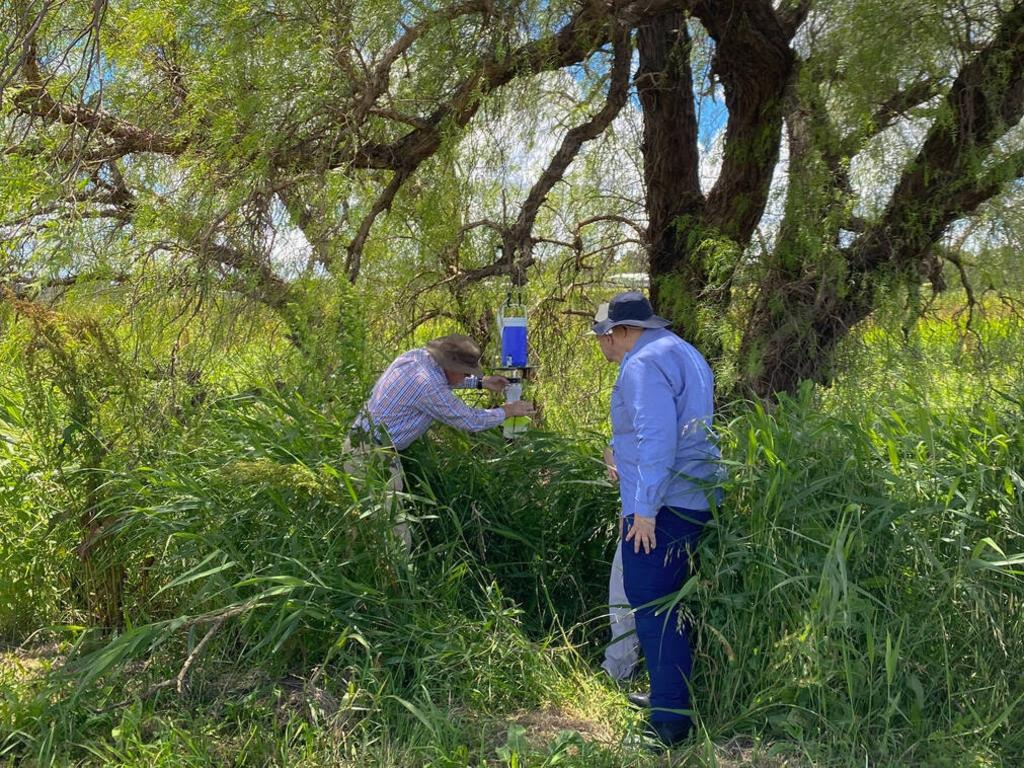 Goondiwindi residents are being urged to vaccinate after a positive case of Japanese encephalitis in a man who had visited the Yelarbon area over the Christmas period. Photo: DDHS