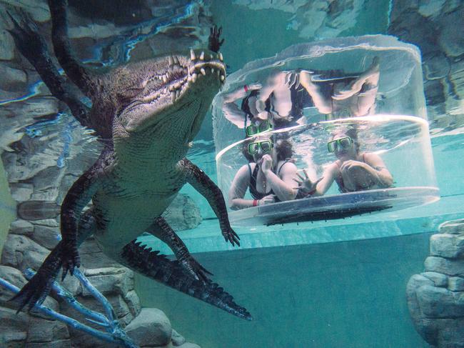 Taylah Matthews & Casey Hunt swimming with a crocodile at Crocosaurus Cove in Darwin on Monday, June 14, 2021. Picture: Jenni Collier / The Australian