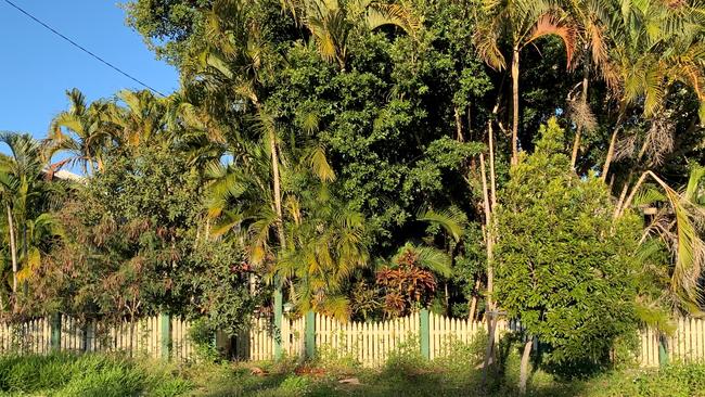 Mackay Regional Court sought court orders allowing officers to tidy up a South Mackay home deemed a public health risk.