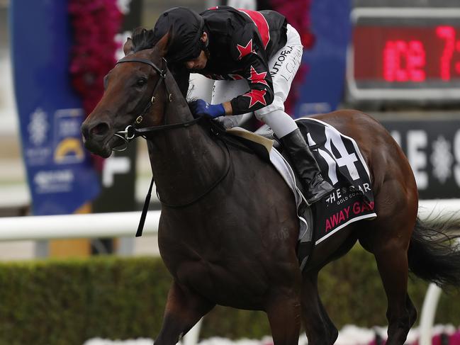 GOLD COAST, AUSTRALIA - JANUARY 11: Luke Currie rides Away Game to victory in the $2 Million The Star Gold Coast Magic Million 2YO Classic in the 2019 Magic Millions at the Gold Coast Turf Club on January 11, 2020 in Gold Coast, Australia. (Photo by Regi Varghese/Getty Images)