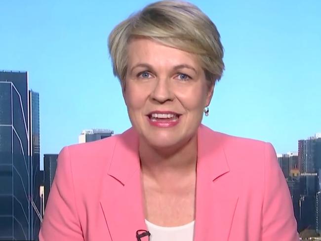 Environment Minister Tanya Plibersek says parliament will work out the Voice’s scope if the referendum succeeds. Picture: Sunrise/Channel 7