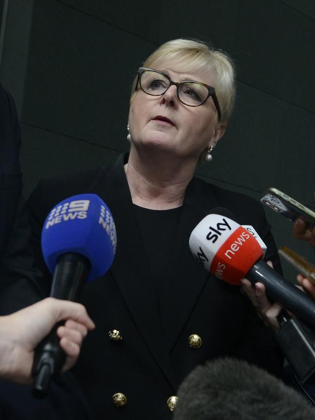 Liberal senator Linda Reynolds. Picture: NewsWire / Sharon Smith