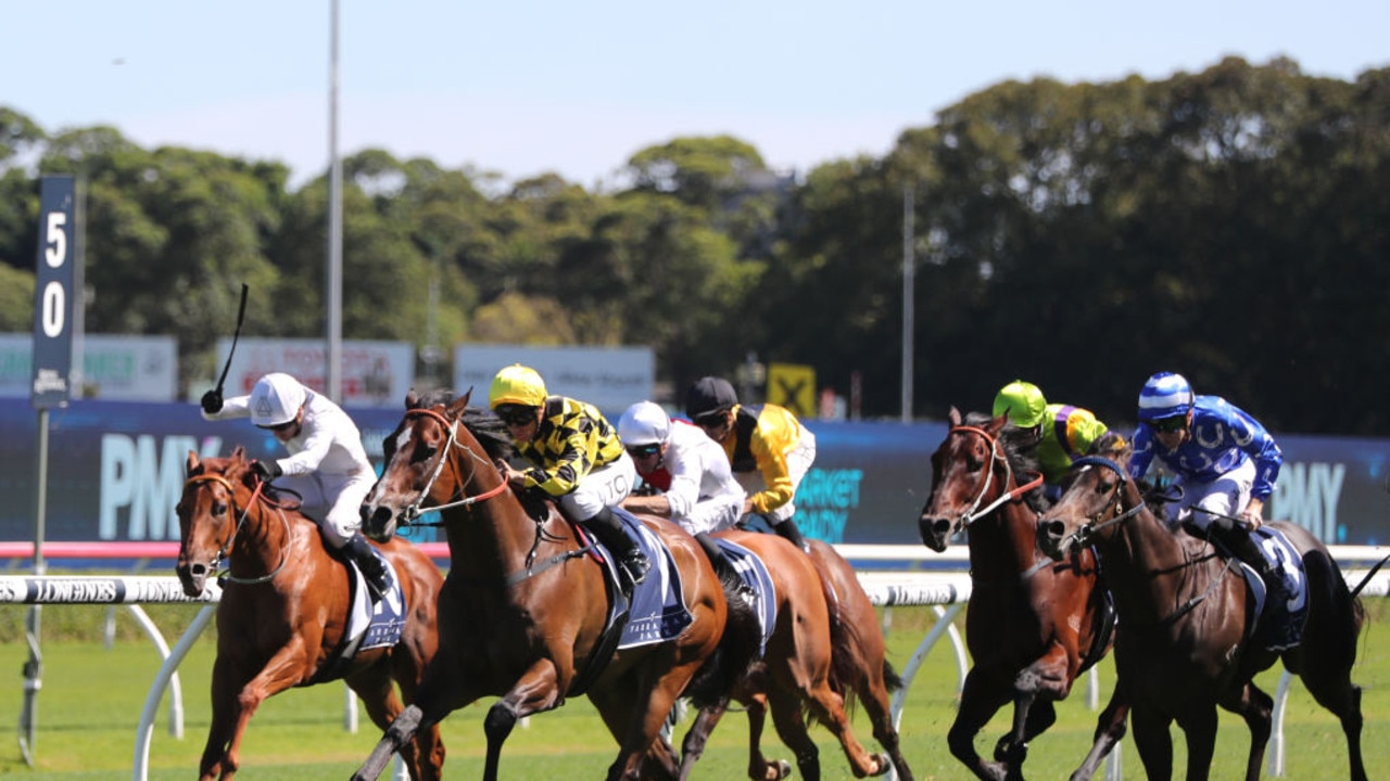 Big Bets Review: $19k bet lands at Randwick, $16k wager off mark at ...