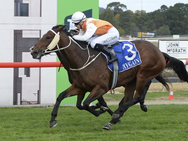 Downtown's Abbey looks a good chance on her home track. Picture: Bradley Photos