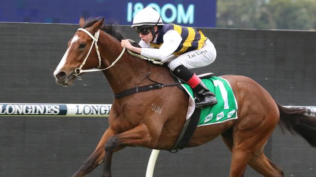 Trainer Matthew Dunn is chasing his first win in the Grafton Cup with Holstein. Picture: Grant Guy