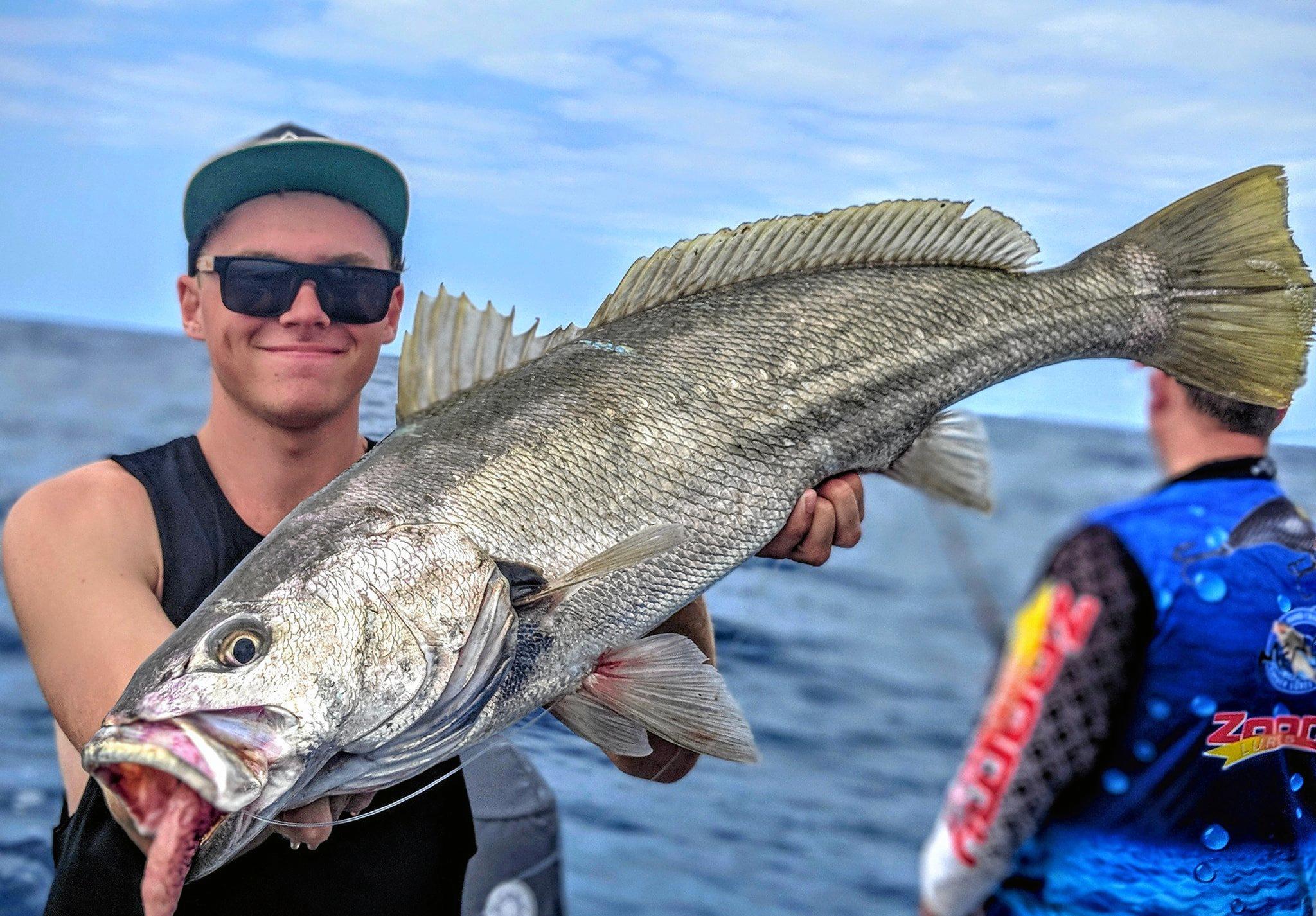 Coffs Coast fish snaps | Daily Telegraph