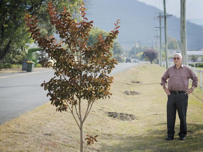 Long time Snug resident Graeme, who was living in Snug during the 1967 fires, is disappointed that many of the commemorative trees were vandalised. Picture: MATHEW FARRELL