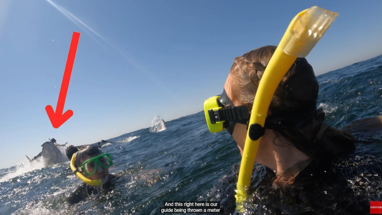 A 15-metre humpback whale launched one of their tour guide’s in the air. Picture: YouTube/Max and Jacqueline