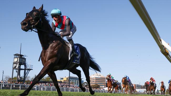 Antino won the Group 1 Toorak Handicap in a one-act affair. Picture: Michael Klein