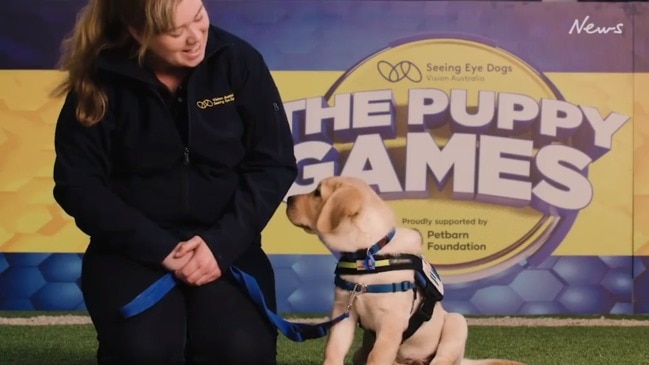 Seeing Eye Dog Puppy Games