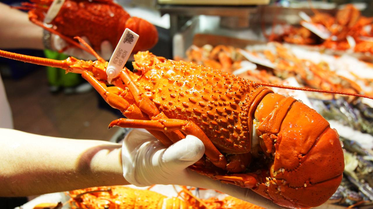 A limit has been imposed on half-price rock lobsters at Woolworths. Picture: Sam Mooy