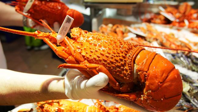 A limit has been imposed on half-price rock lobsters at Woolworths. Picture: Sam Mooy