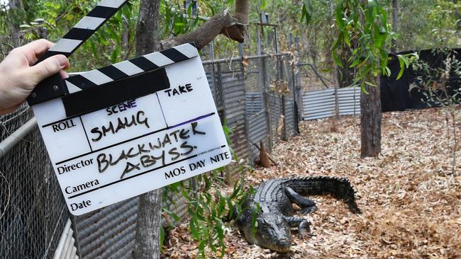 Famous NT croc Smaug will be staring in a blockbuster thriller called Black Water: Abyss being released next month. Picture: Katrina Bridgeford.
