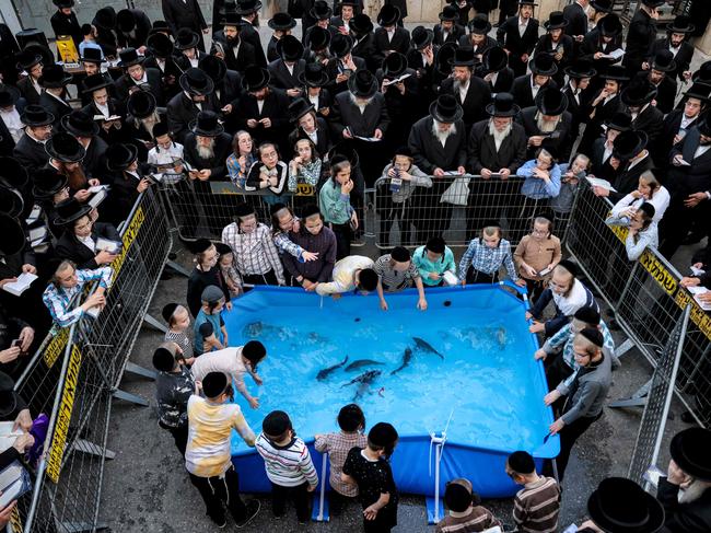 Ultra-Orthodox Jews gather around a water pool containing fish in the predominantly-Orthodox Jewish central Israeli city of Bnei Brak. They perform the "Tashlich" ritual during which "sins are cast into the water to the fish", ahead of Yom Kippur, the most important day in the Jewish religious calendar. Picture: Menahem Kahana/AFP