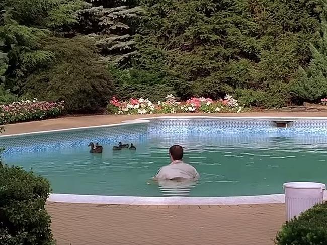 Tony and his ducks in the pool. Credit: HBO