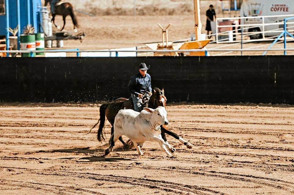 Ken May is a renowned horseman and Stockman's Challenge competitor. Picture: Facebook