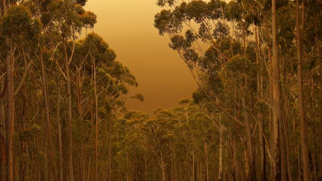 Think smoke from bushfires fills the air in East Gippsland. Picture: Darrian Traynor/Getty Images