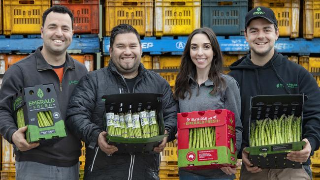 Raffa Fields Asparagus The Raffa family have farmed asparagus for three generations at the same Tooradin site. Picture: Zoe Phillips