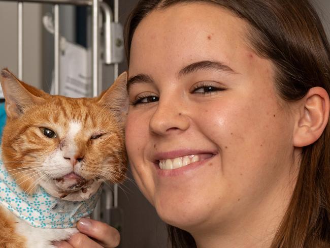 Big Ginge needed specialist surgery to mend his shattered jaw. Picture: Monique Harmer