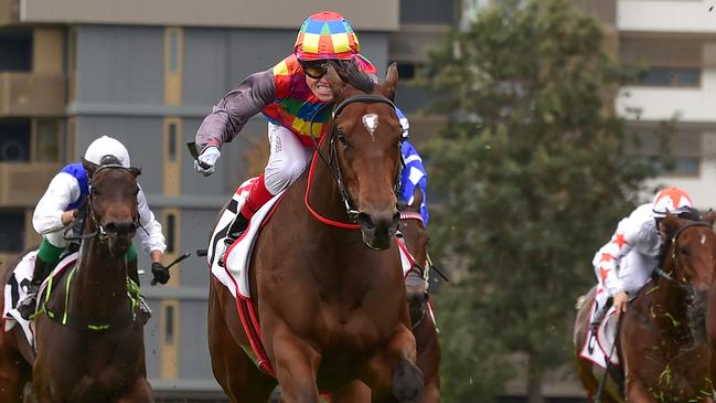 Tiger Shark (centre) holds on to win at Doomben on Saturday. Picture: Grant Peters / Trackside Photography