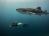 I've done 3500 dives, these sites stunned me