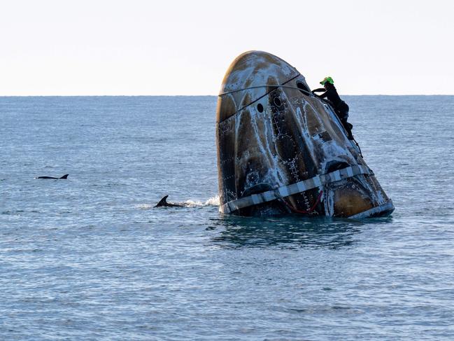 The SpaceX Dragon spacecraft shortly after it landed with NASA astronauts Nick Hague, Suni Williams, Butch Wilmore, and Roscosmos cosmonaut Aleksandr Gorbunov aboard in the water off the coast of Tallahassee, Florida. Picture: AFP