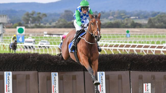 Stern Idol is an odds-on favourite to win Tuesday’s Brierly Steeplechase at Warrnambool. Picture: Racing Photos via Getty Images.