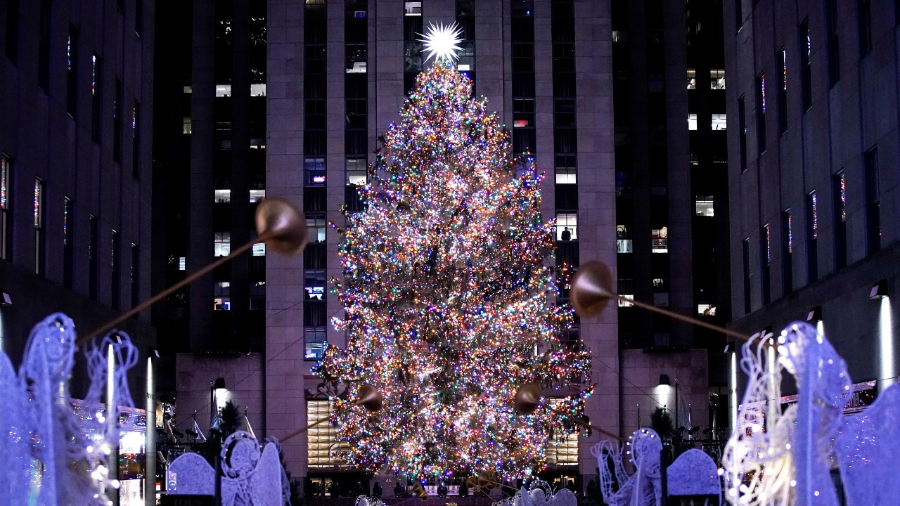 Rockefeller Christmas Tree on its way to New York City Sky News Australia
