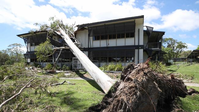 Trees down at Helensvale Primary School.. Picture Glenn Hampson