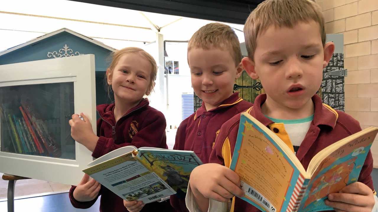 Little Book Houses open doors at Newtown State School | The Chronicle