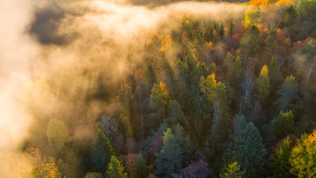 Northvolt is looking to develop the world’s first industrialised battery featuring anodes sourced entirely from European raw materials. Picture: Getty Images