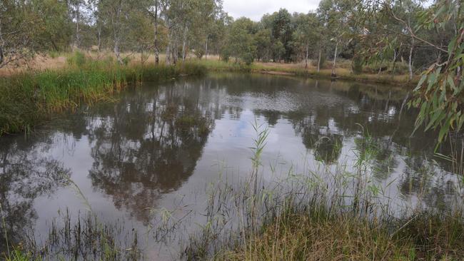 Wetlands near the RAAF base at Edinburgh.