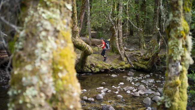 Walking around Lake St Clair. Picture: Matthew Newton