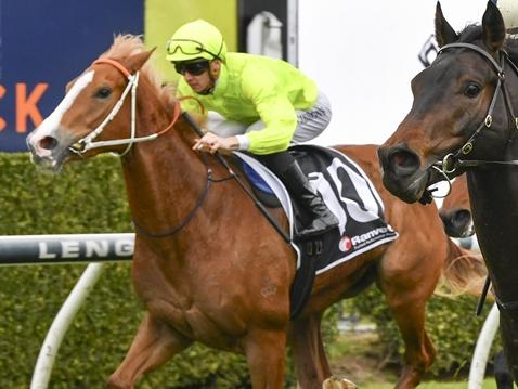 Makarena can make amends for her first-up defeat by winning the opening event at Canterbury on Wednesday. Picture:Bradley Photos