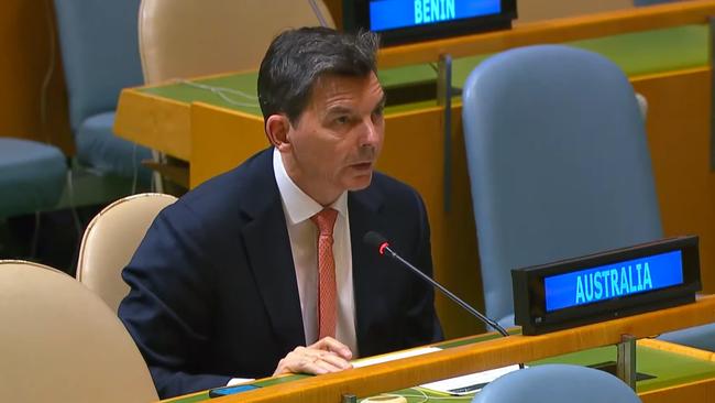 Australia's UN Ambassador James Larsen addressing the General Assembly on December 12. Picture: United Nations