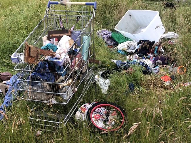 Overgrown vegetation and abandoned trolley complaints grew by 59 per cent and 65 per cent respectively