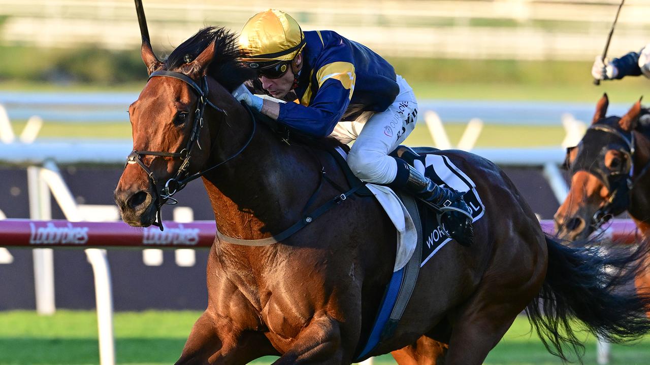 War Machine was elevated to Group 1 Stradbroke Handicap favouritism after his dominant win in the BRC Sprint. Picture: Grant Peters / Trackside Photography