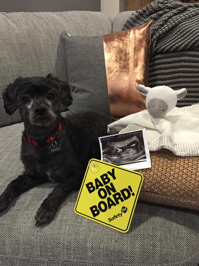 Kelly announced her pregnancy on facebook with a little help from a furry friend.