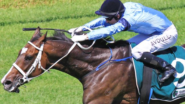 Brenton Avdulla says Libran will relish the step up to 2400m. Picture: Jenny Evans